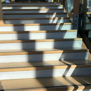 Meet your Posher, Charlotte